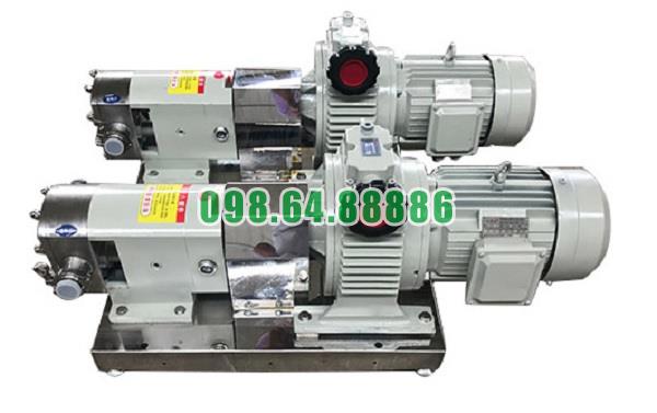 Máy bơm cánh khế 3RP-5 lưu lượng 3 m3/h áp suất 0.6 MPa