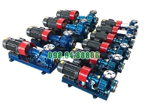 Bơm ly tâm dầu truyền nhiệt RY20-20-100 cột áp 10 m, công suất 0.75 kW