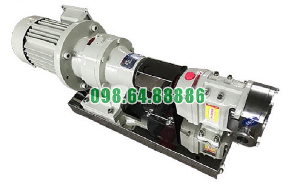 Máy bơm cánh khế 3RP-35 lưu lượng 15 m3/h tốc độ quay 750 vòng/phút công suất 4kw